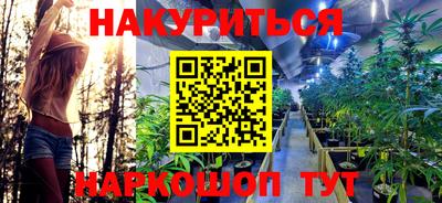 ешки Новодвинск