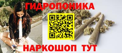 мет Новозыбков