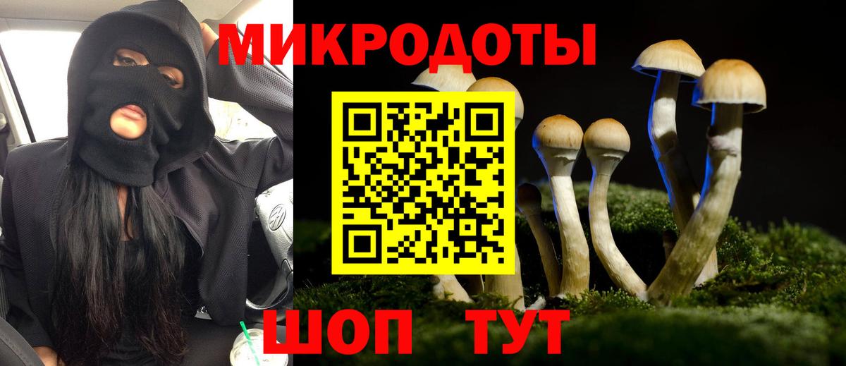 Псилоцибиновые грибы мицелий Серпухов