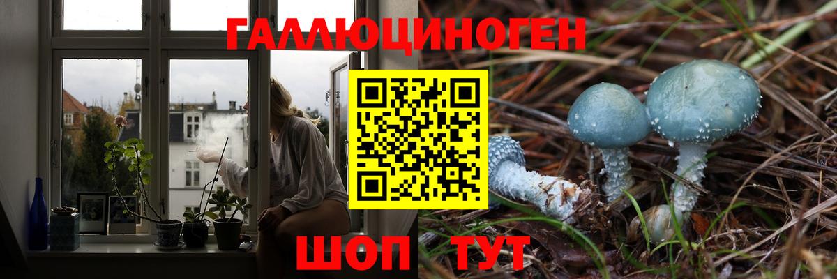 Серпухов  Галлюциногенные грибы мухоморы  Вход с VPN  Галлюциногенные грибы Psilocybe 